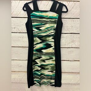 Picadilly Dress black with Green Stripes